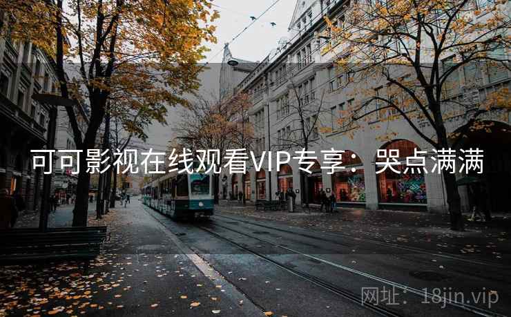 可可影视在线观看VIP专享：哭点满满