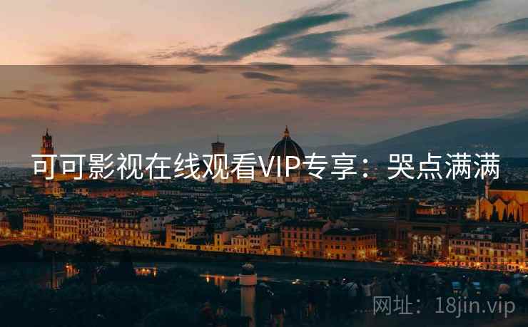 可可影视在线观看VIP专享：哭点满满