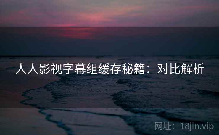 人人影视字幕组缓存秘籍：对比解析