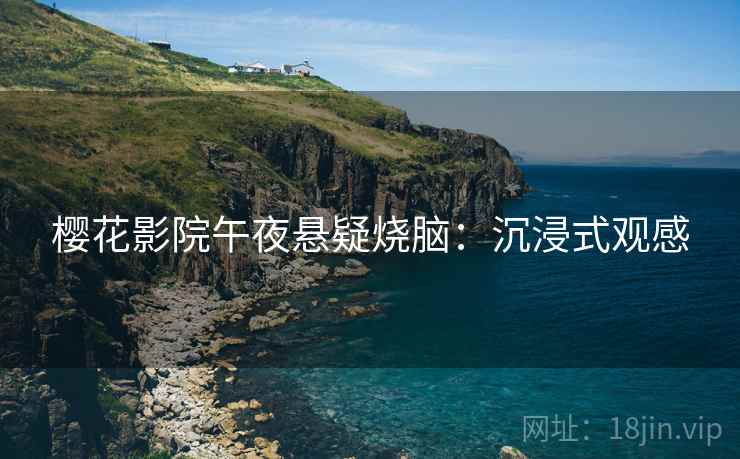 樱花影院午夜悬疑烧脑：沉浸式观感
